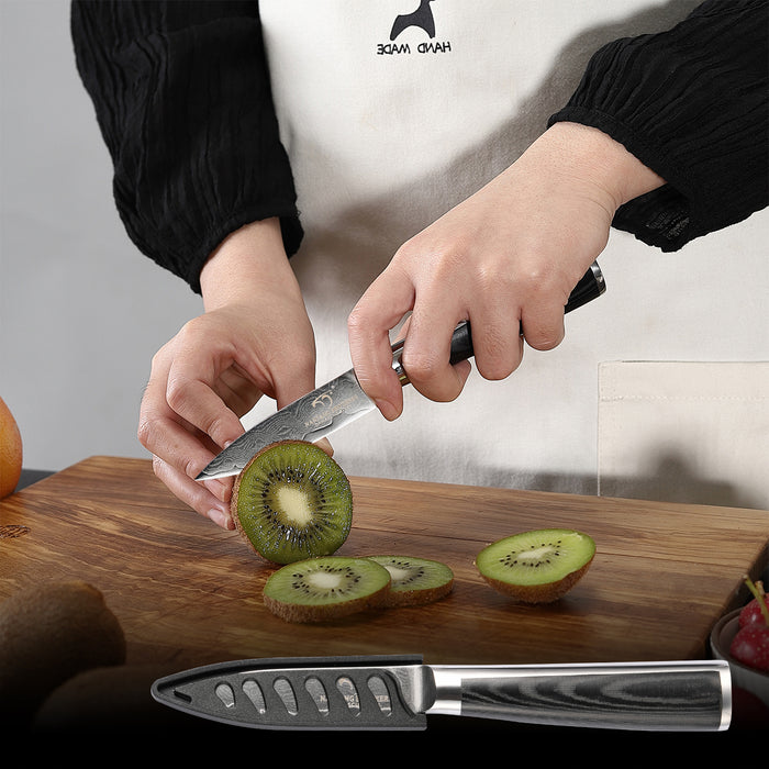 6-Pieces Damascus Kitchen Knife Set with Sharpener and Scissor
