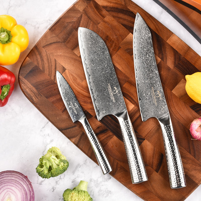4-Piece Damascus Kitchen Knife Set with Block