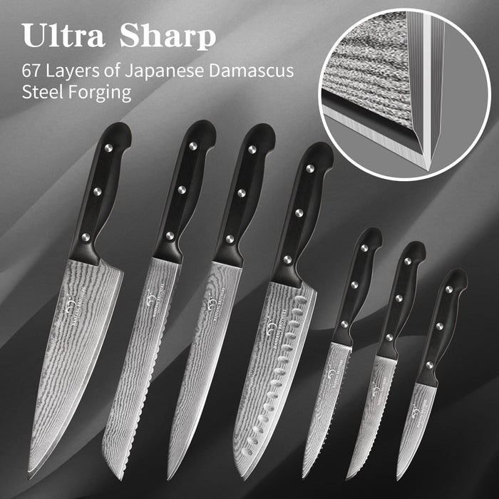15 Pieces Damascus Steel Knife Set with Black Block, Steak Knives, Kitchen Shears and Sharpener