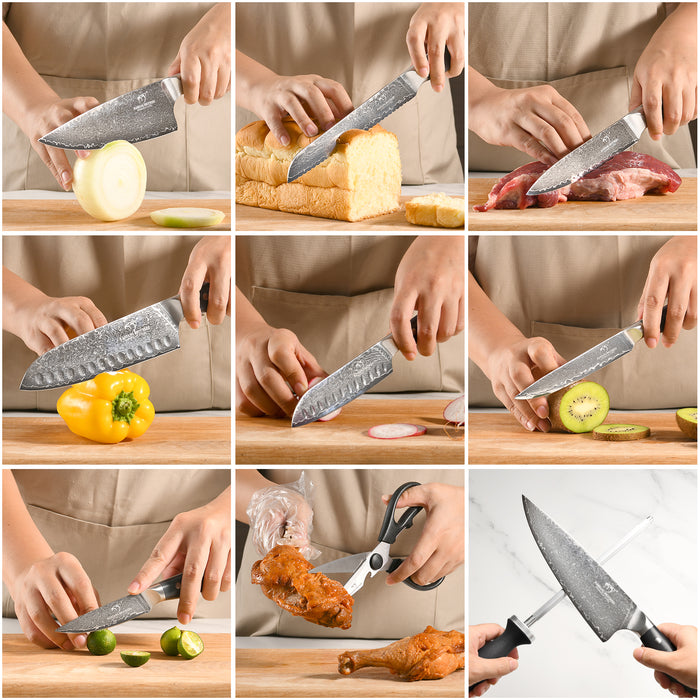 10 Pieces Damascus Steel Knife Set with Gray Block, Sharpening Rod, Kitchen Shears and Professional Chef Knives