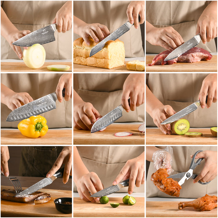 16 Pieces Damascus Steel Knife Set with Gray Block, Sharpening Rod, Steak Knives, Kitchen Shears and Professional Chef Knives