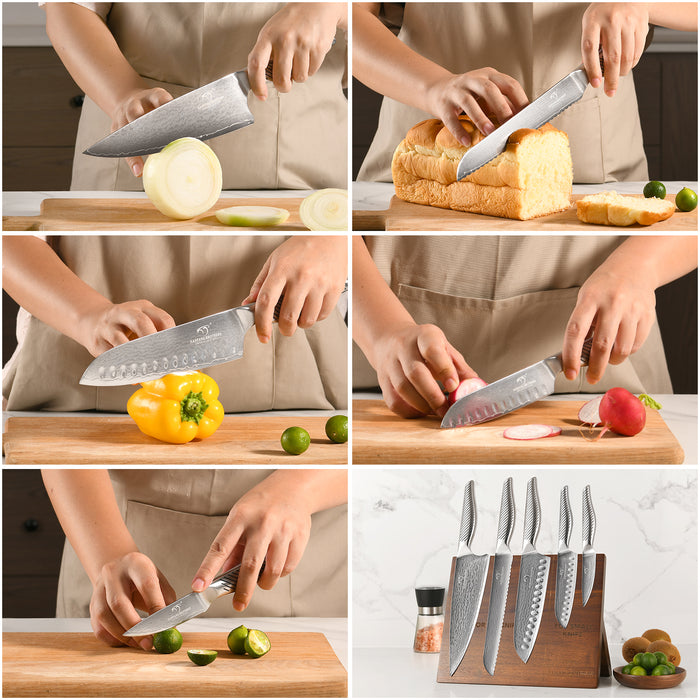 6 Pieces Damascus Steel Knife Set with Magnetic Block, Chef Knife, Santoku Knife, Paring Knife and Modern Kitchen Storage