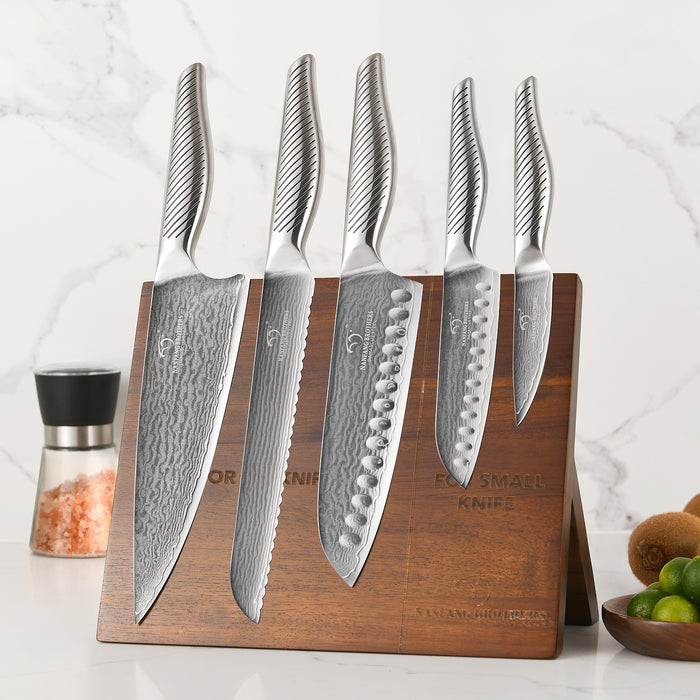 6 Pieces Damascus Steel Knife Set with Magnetic Block, Chef Knife, Santoku Knife, Paring Knife and Modern Kitchen Storage