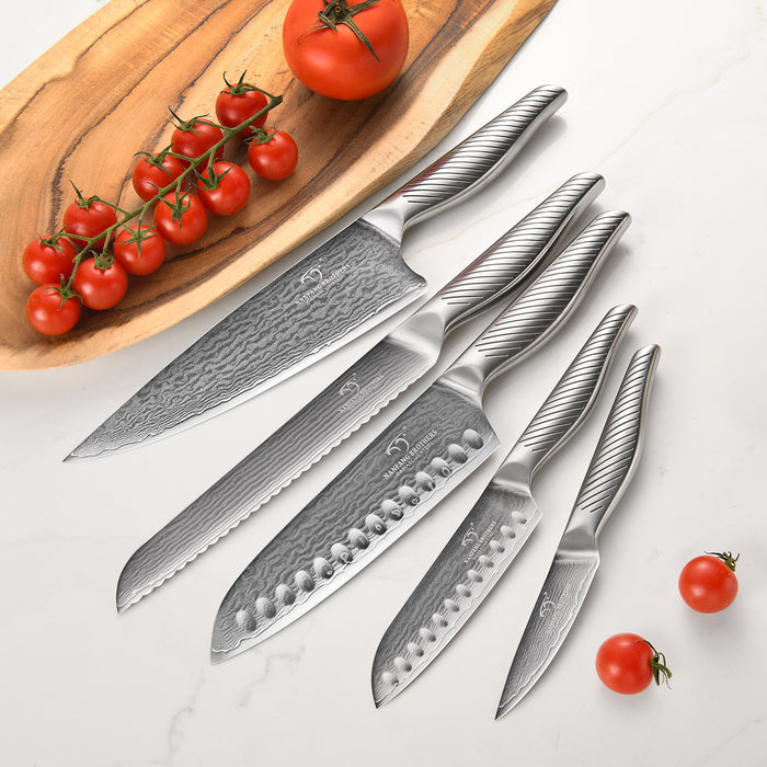 6 Pieces Damascus Steel Knife Set with Magnetic Block, Chef Knife, Santoku Knife, Paring Knife and Modern Kitchen Storage