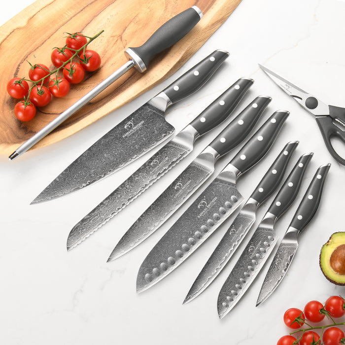 10 Pieces Damascus Steel Knife Set with Gray Block, Sharpening Rod, Kitchen Shears and Professional Chef Knives